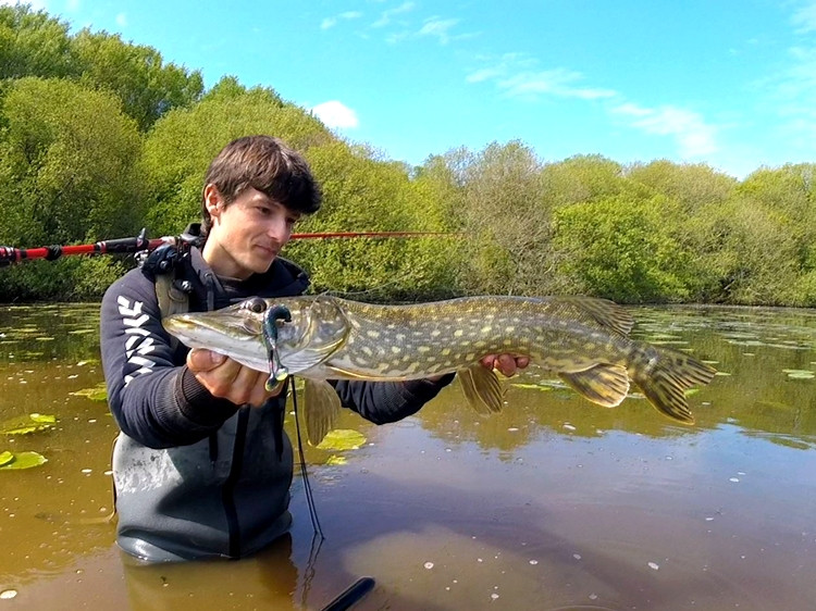 Pêche du brochet à la frog dans les nénuphars : 3 cycles biologiques en 1 pattern !